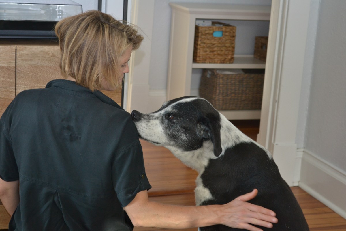 Got fleas? Brother’s got your&nbsp;back!