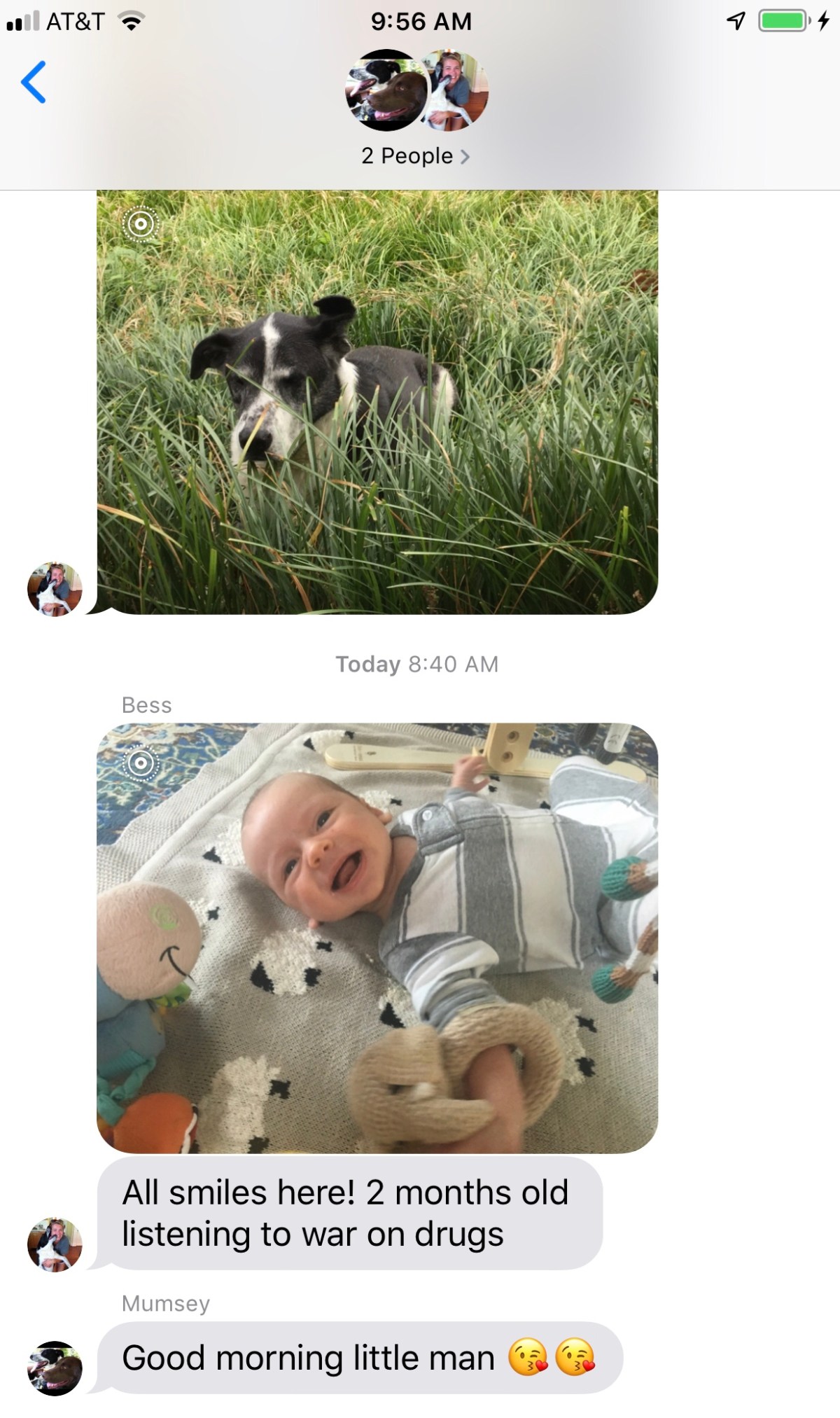 What’s black and white and red all over? A sunburned&nbsp;Zebra.