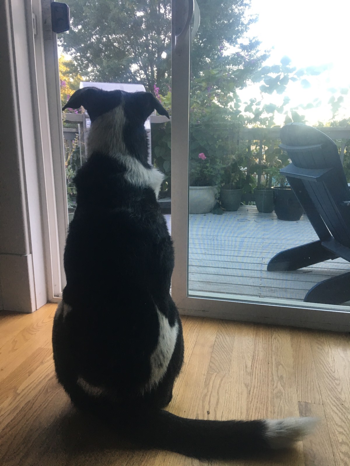 Just watching the clothes go&nbsp;round…