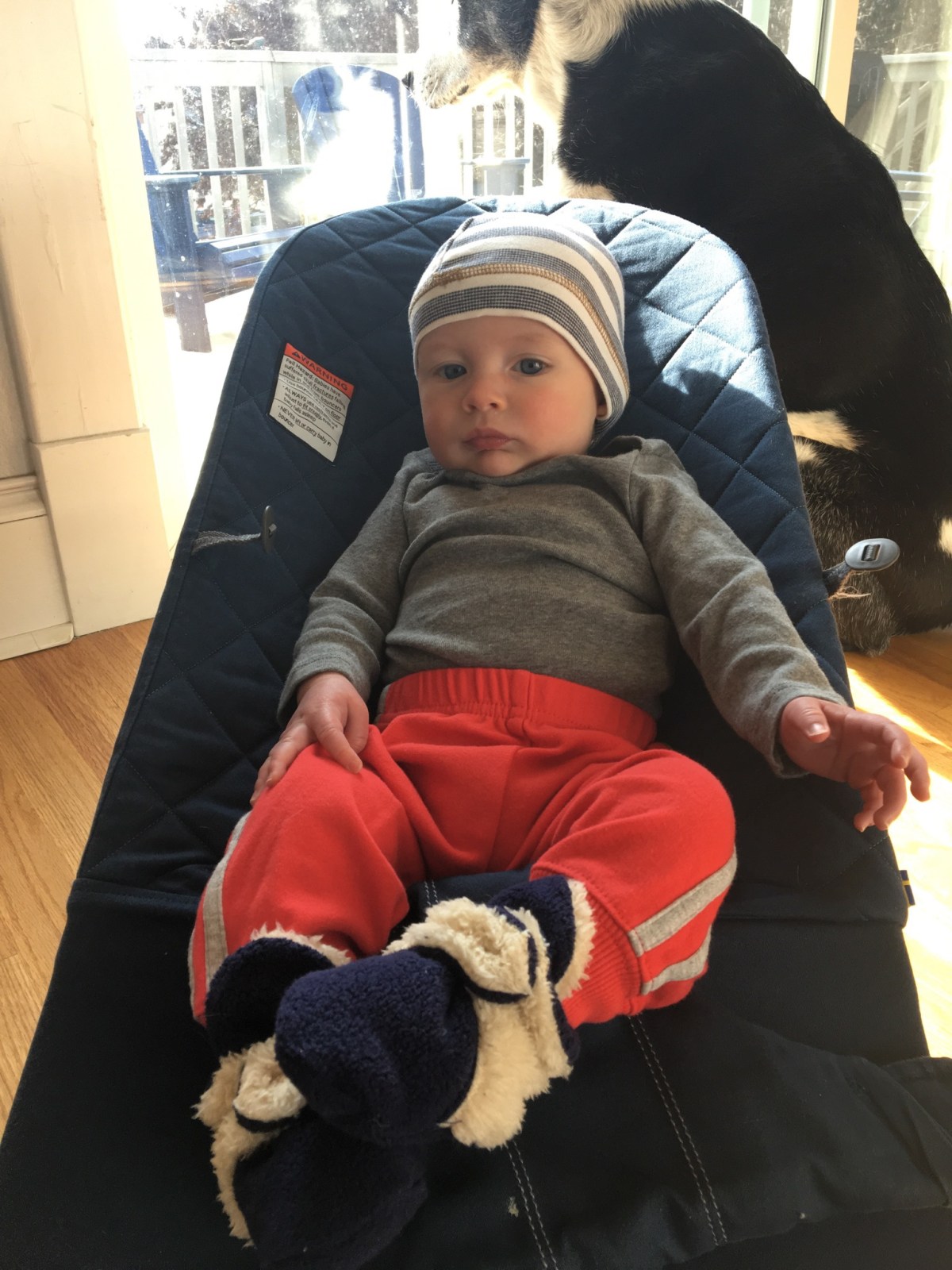 Peek a boo! Parker sees you…from Park&nbsp;City!