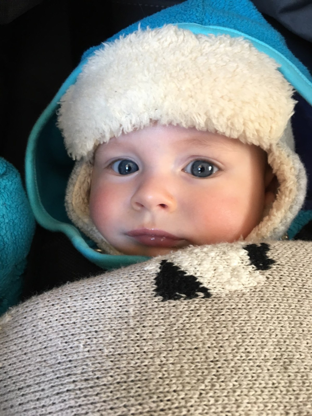 Where’s Waldo?…uh…hum! Parker! I think I see him in 10 degree&nbsp;weather.