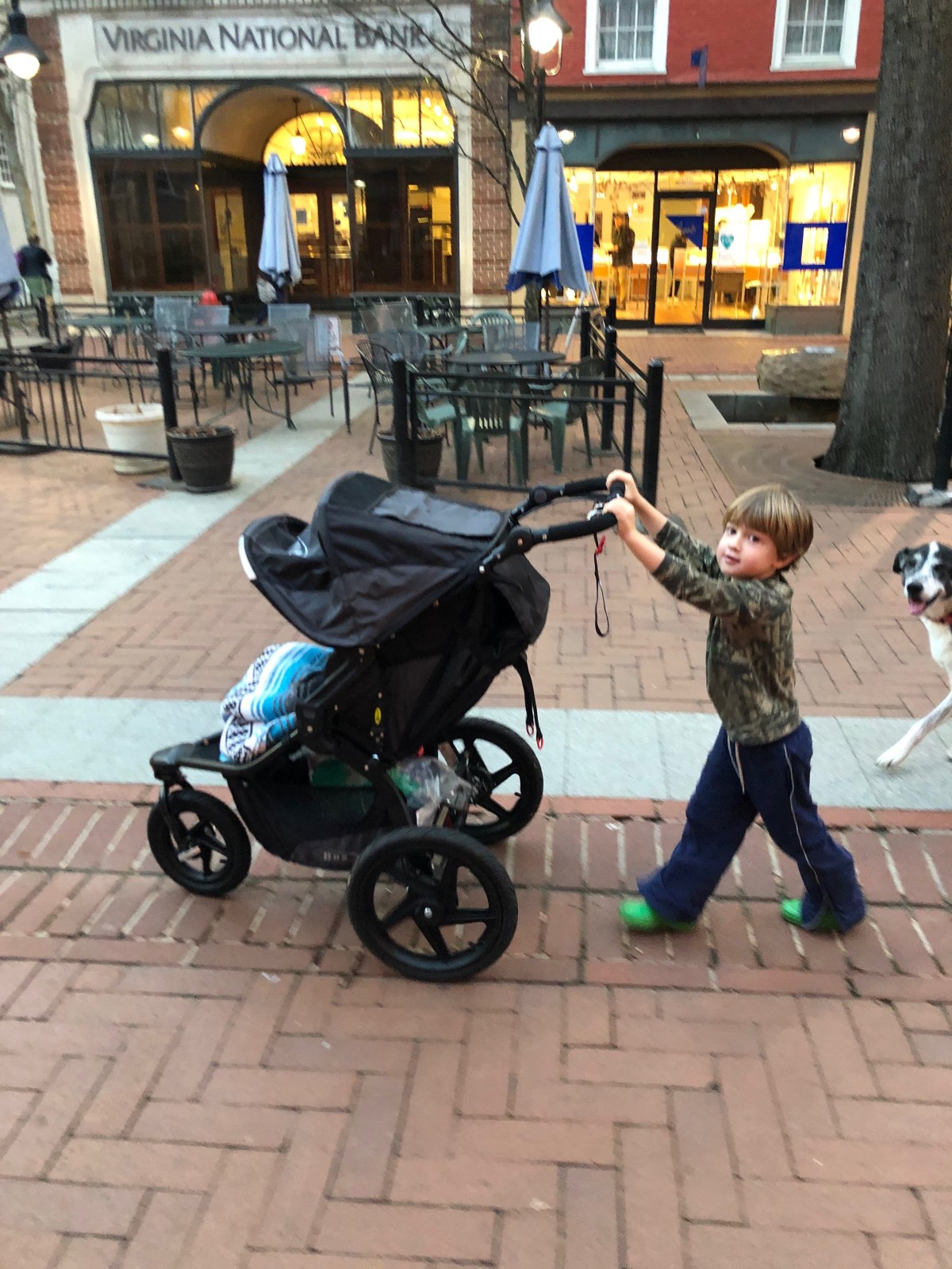 Who took Parker? Only Brother&nbsp;knows!